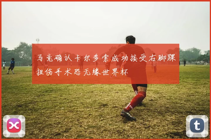 马竞确认卡尔多索成功接受右脚踝扭伤手术恐无缘世界杯